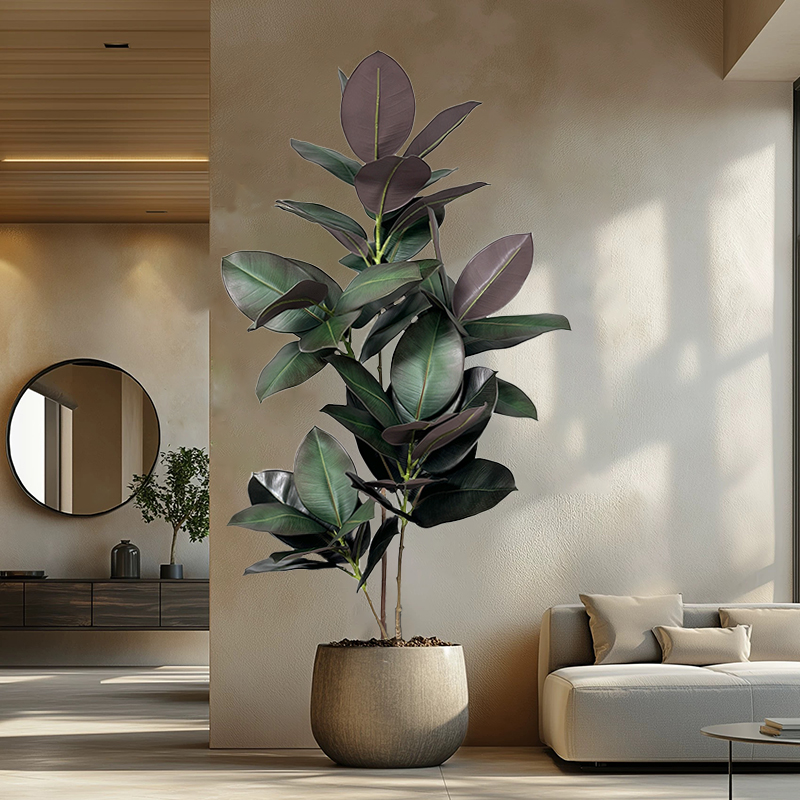 Rubber Plant Ficus - 70-150cm 인조 고무나무, 가짜 열대 식물,