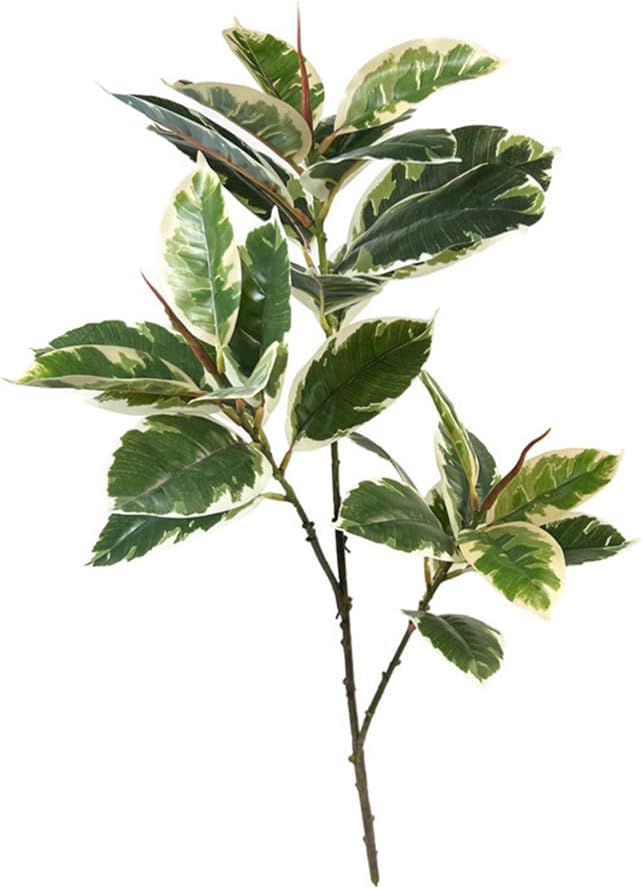 Rubber Plant Ficus - Ficus Tineke 인공 식물 31 