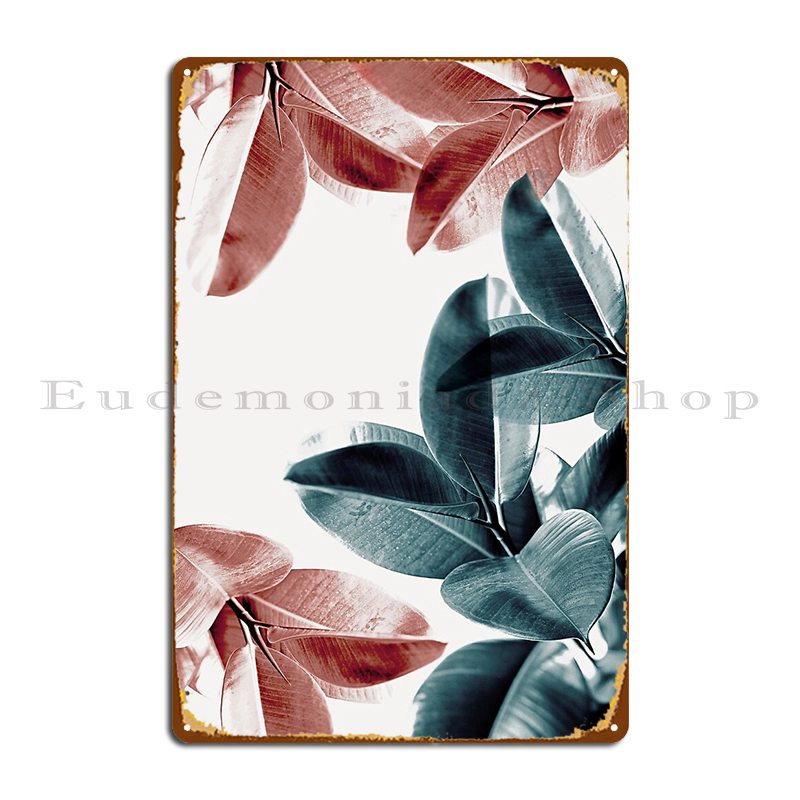 Rubber Plant Ficus - 고무 식물 잎 녹색과 분홍색 잎