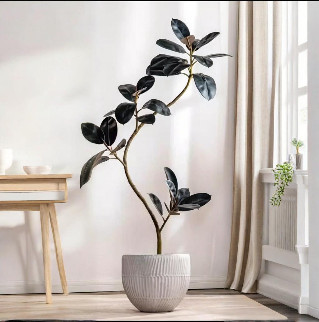 Rubber Plant Ficus - 인조 플라스틱 화분 고무나무 피쿠스 엘라스티카