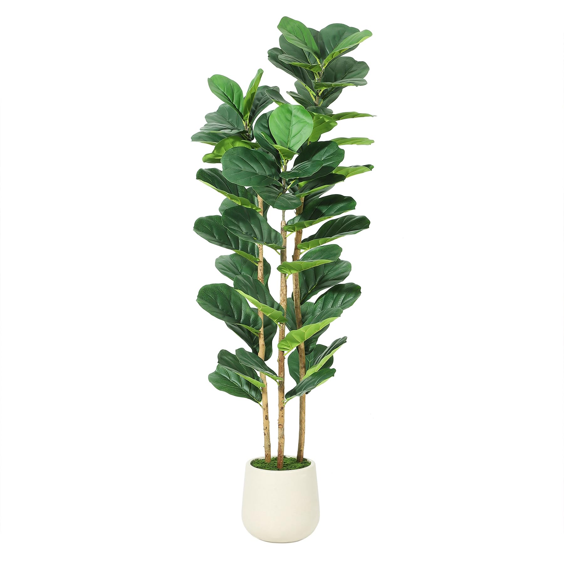 인조 피클리스 나무, 흰색 화분 포함, 5/6/7피트  - Rubber Plant Ficus 리뷰 및 가격