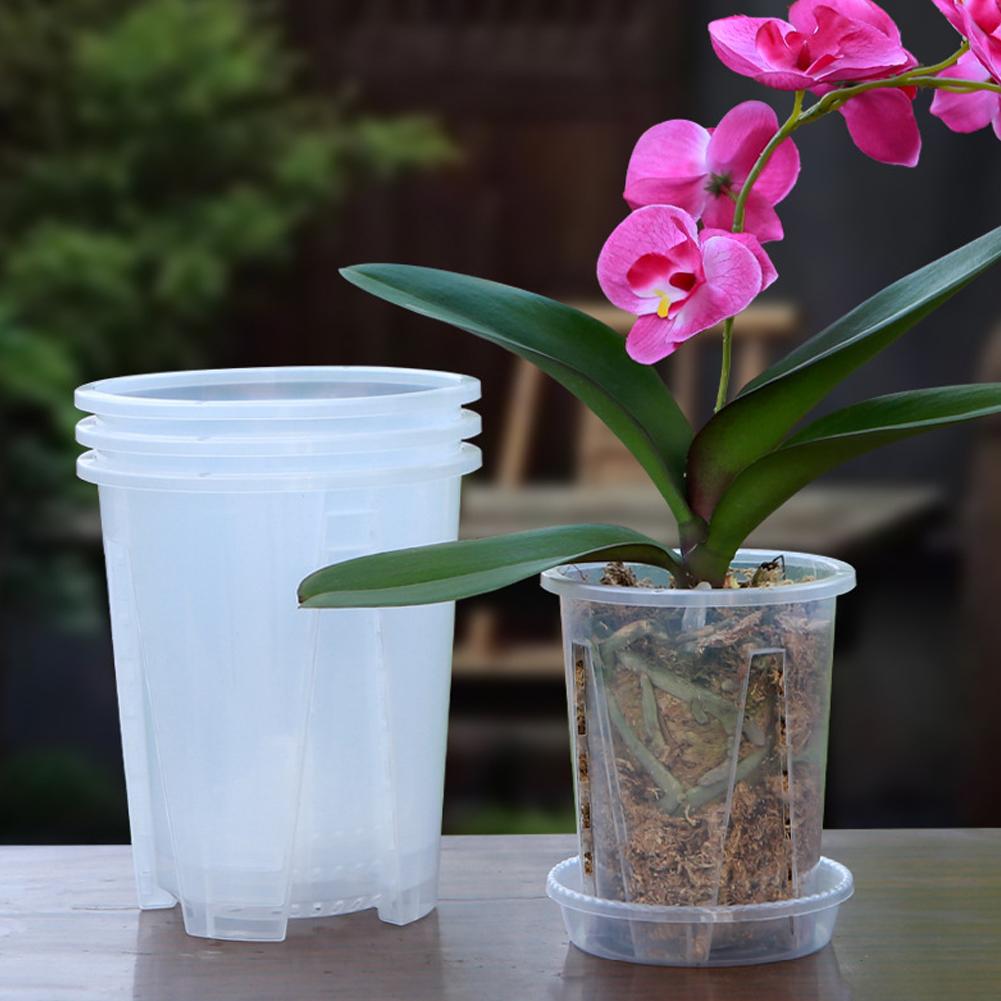 플라스틱 뿌리 제어 투명 화분 통기성 있는 식물 재배  - Plant Parent 리뷰 및 가격
