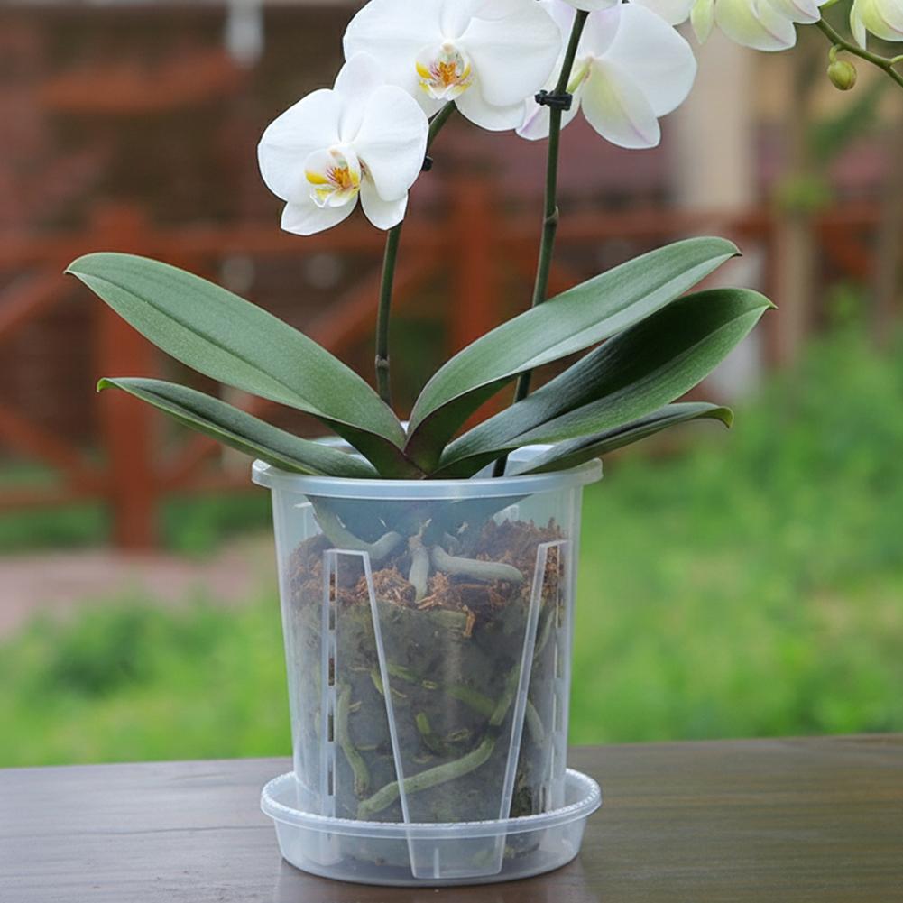 플라스틱 뿌리 제어 투명 화분 통기성 있는 식물 재배  - Plant Parent 리뷰 및 가격