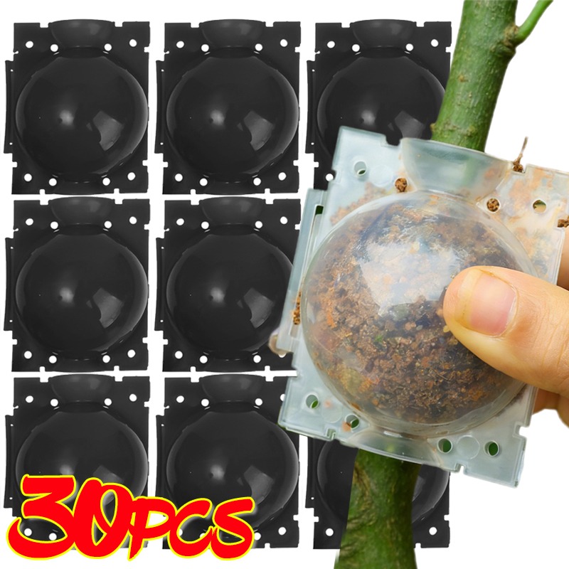 재사용 가능한 식물 뿌리화상볼 접목 도구 고압 식물 뿌 - Plant Parent 리뷰 및 가격