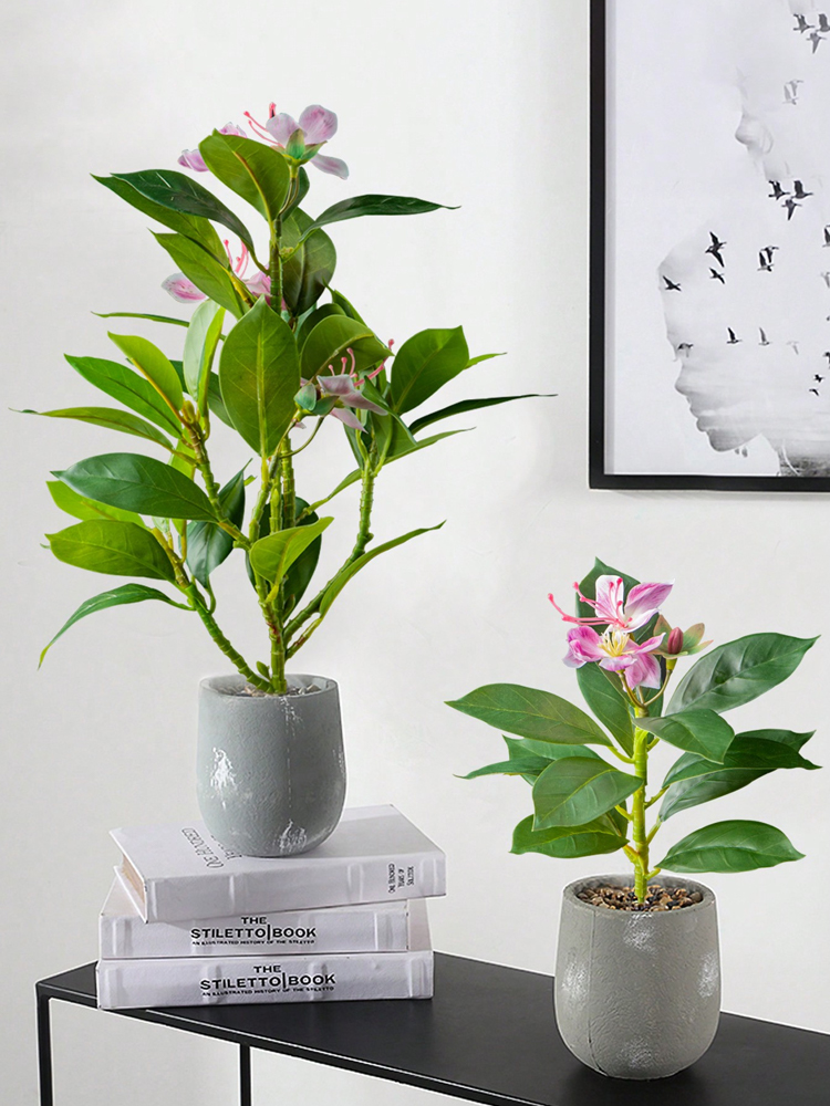 21-40cm 인공 진달래 식물 가짜 고무 나무 열대  - Rubber Plant Ficus 리뷰 및 가격