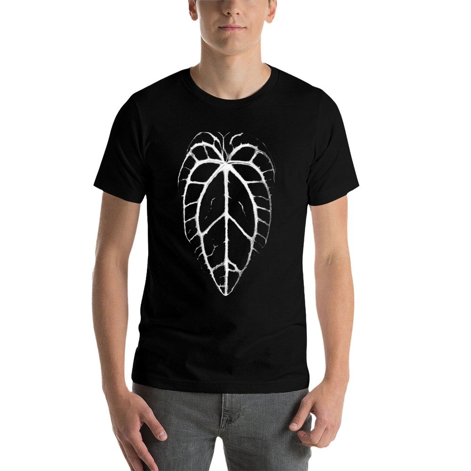 ANTHURIUM CRYSTALLINUM VEINS 티 - Anthurium Crystallinum 리뷰 및 가격