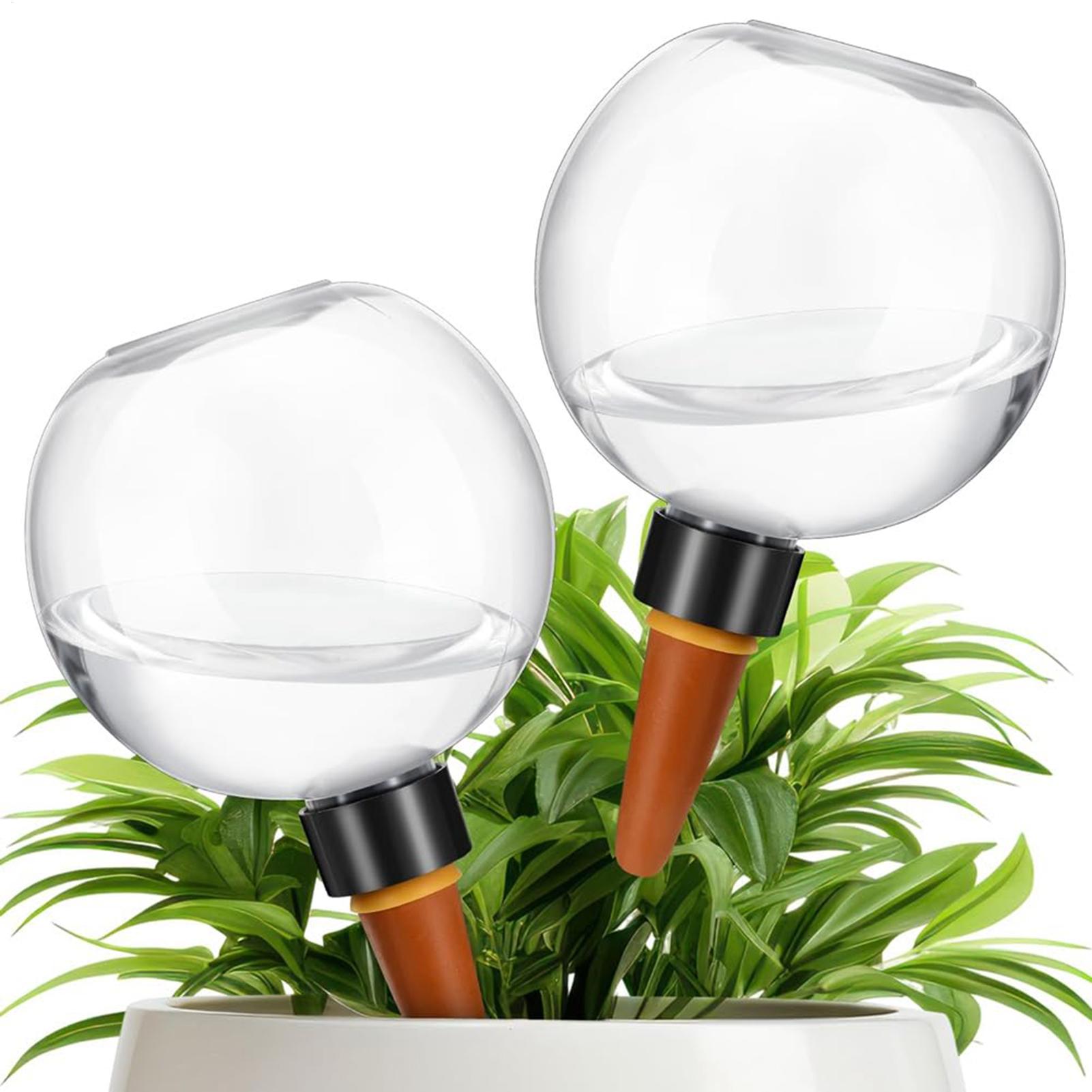 500ml 자동 식물 급수 구슬 유리 글로브 플랜터 삽 - Plant Parent 리뷰 및 가격