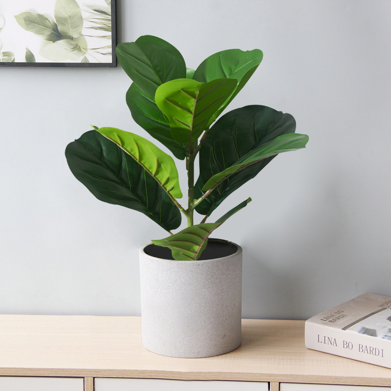 38cm 가짜 Ficus 나무 인공 바이올린 잎 열대  - Rubber Plant Ficus 리뷰 및 가격