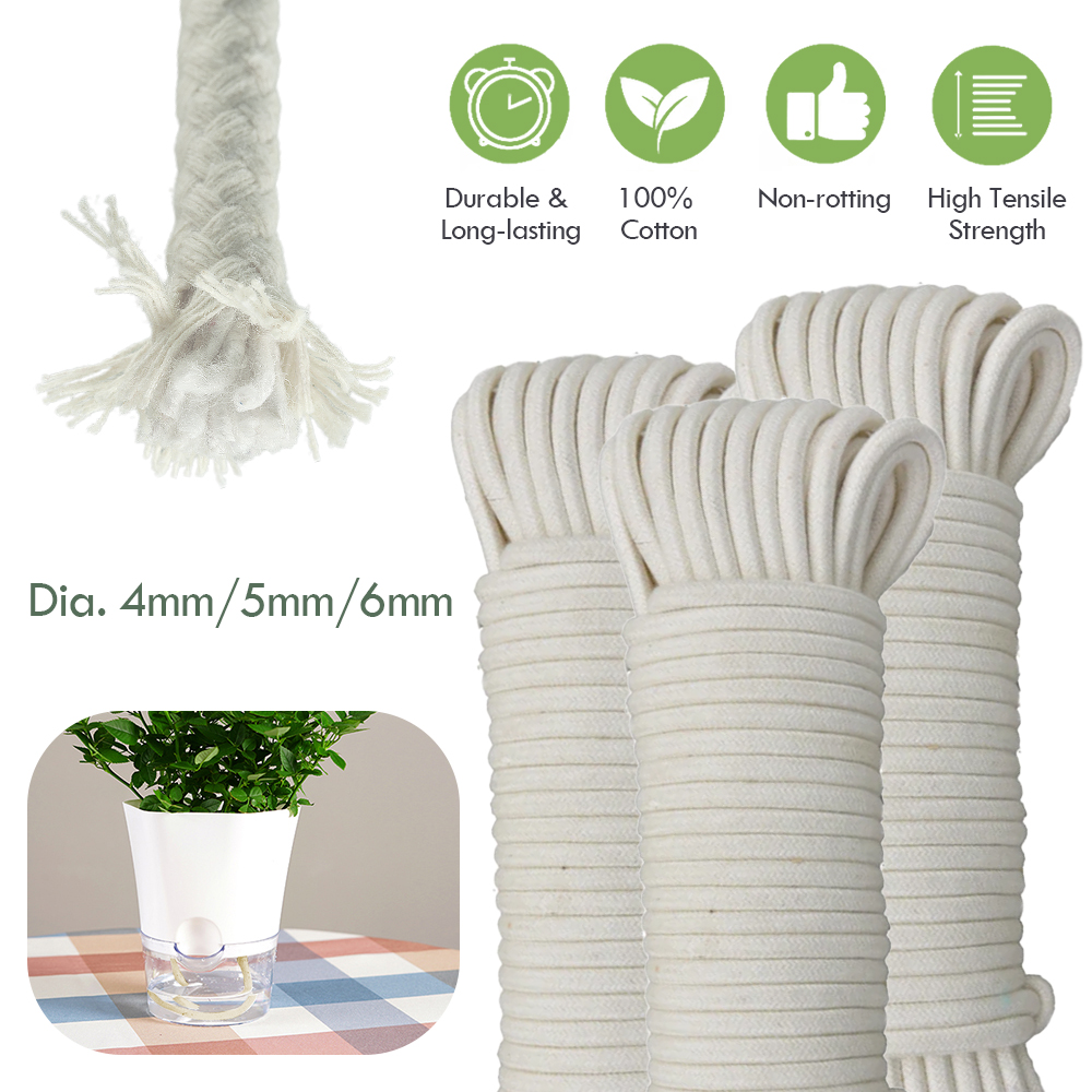 자체 급수 면 심지 코드 화분 식물 묘목 화분, DIY - Plant Parent Kit 리뷰 및 가격